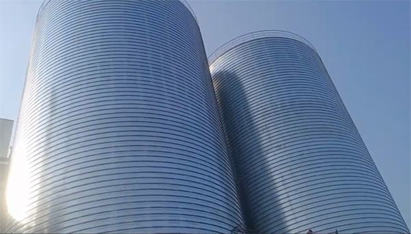 襄州2座混凝土高架卷板仓